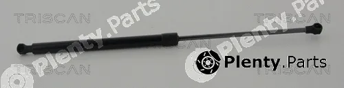 Triscan 871025276 — Gas Spring, boot/cargo area