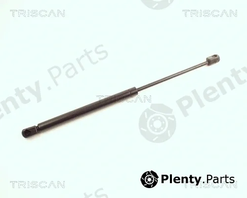 Triscan 871025216 — Gas Spring, boot/cargo area