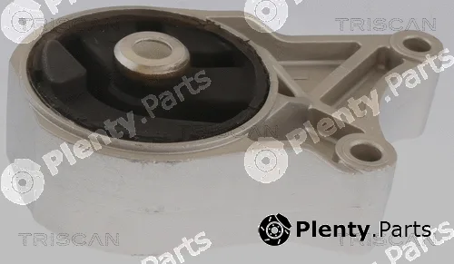 Triscan 850510110 — Mounting, engine