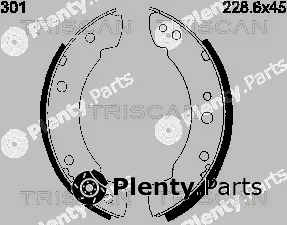 Triscan 810010301 — Brake Shoe Set