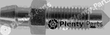 Triscan 81053681 — Breather Screw/Valve