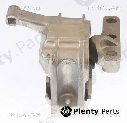 Triscan 850529134 — Mounting, engine