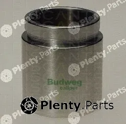 Triscan 8170234328 — Piston, brake caliper
