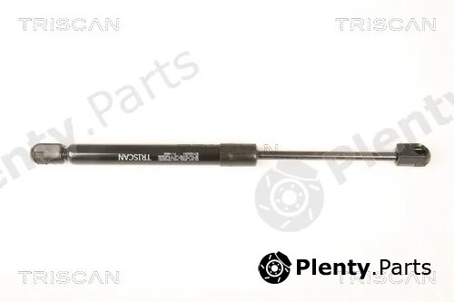 Triscan 871029293 — Gas Spring, boot/cargo area