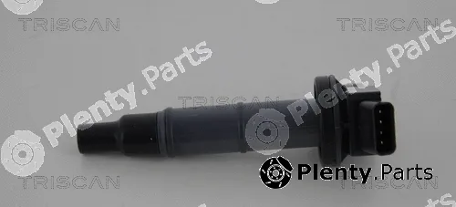 Triscan 886013019 — Ignition Coil