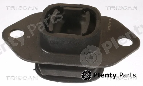 Triscan 850525119 — Mounting, engine