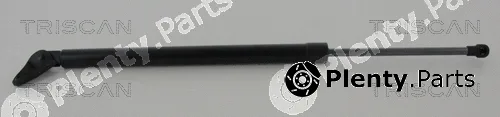 Triscan 871050263 — Gas Spring, boot/cargo area