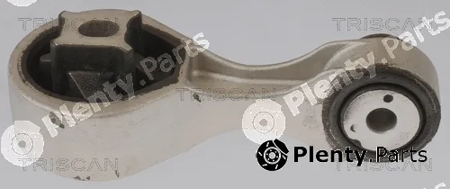 Triscan 850510133 — Mounting, engine