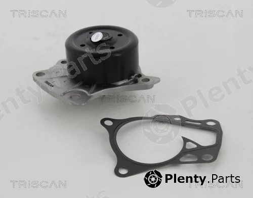 Triscan 860013042 — Water Pump, engine cooling