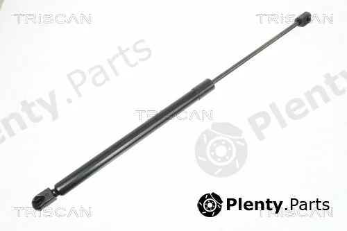Triscan 871029283 — Gas Spring, boot/cargo area