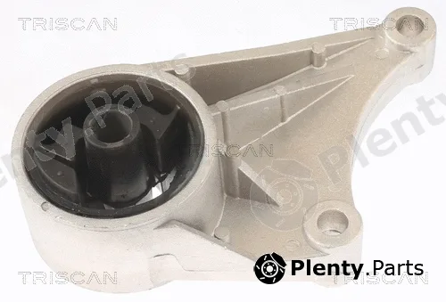 Triscan 850524102 — Mounting, engine