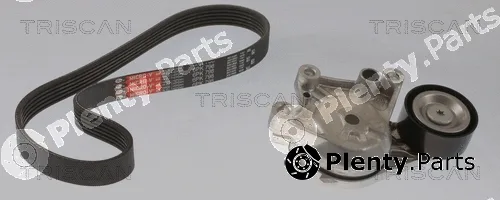Triscan 864228034 — V-Ribbed Belt Set