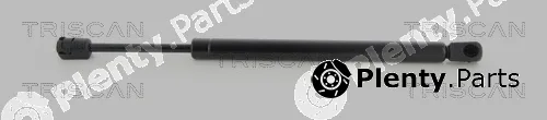 Triscan 8710292100 — Gas Spring, boot/cargo area