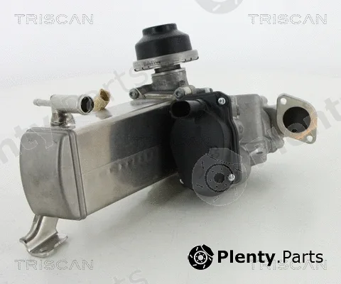 Triscan 881329071 — EGR Valve