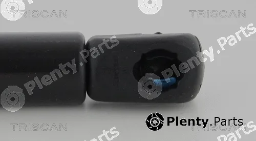 Triscan 871080212 — Gas Spring, boot/cargo area