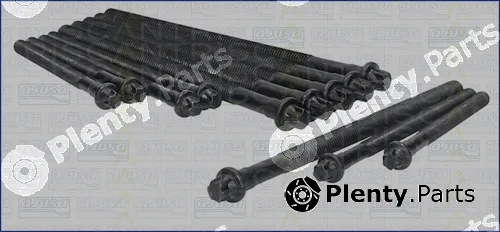 Triscan 98-1713 — Cylinder Head Bolt Set