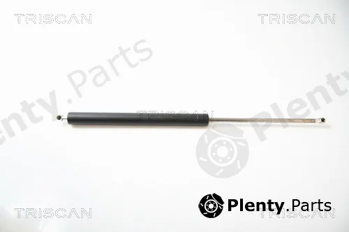 Triscan 871043209 — Gas Spring, boot/cargo area