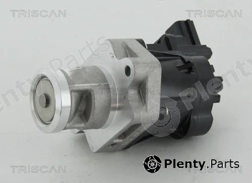 Triscan 881324083 — EGR Valve