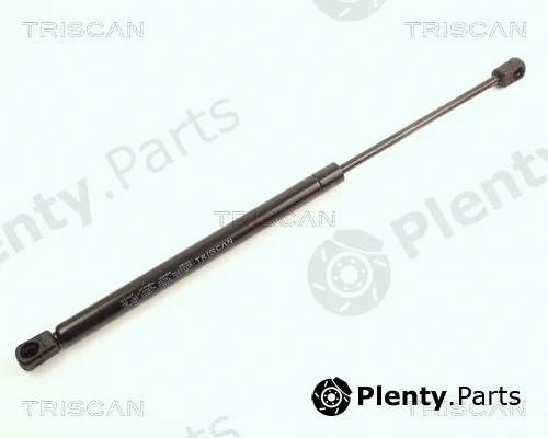 Triscan 871025203 — Gas Spring, boot/cargo area