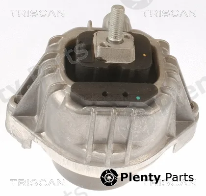 Triscan 850511111 — Mounting, engine