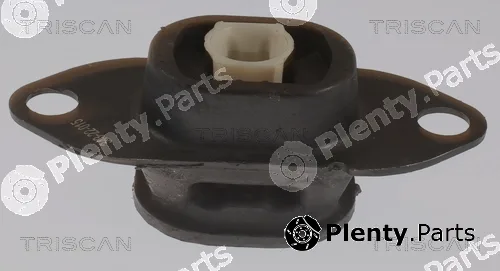 Triscan 850525116 — Mounting, engine
