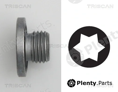 Triscan 95002401 — Screw Plug, oil sump