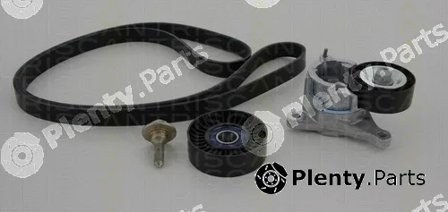 Triscan 864210007 — V-Ribbed Belt Set