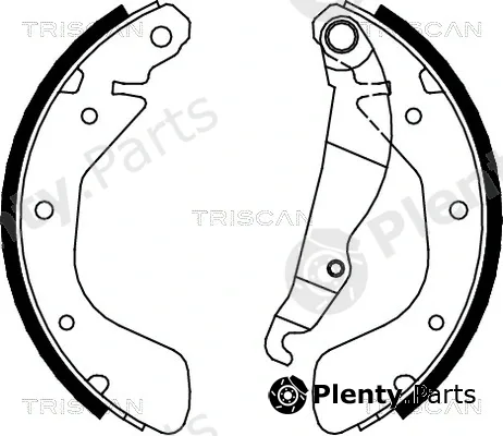 Triscan 810024540 — Brake Shoe Set