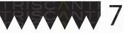 Triscan 8640701910 — V-Ribbed Belt