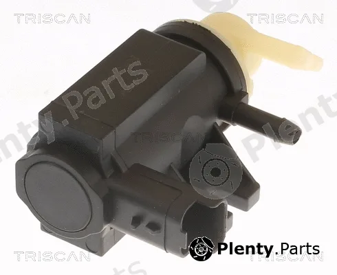 Triscan 881310041 — Pressure Converter, exhaust control