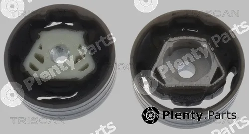Triscan 850529137 — Mounting, engine
