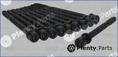 Triscan 98-8502 — Cylinder Head Bolt Set