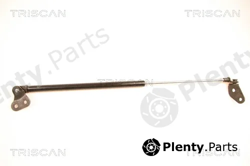 Triscan 871050228 — Gas Spring, boot/cargo area