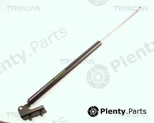 Triscan 871018202 — Gas Spring, boot/cargo area