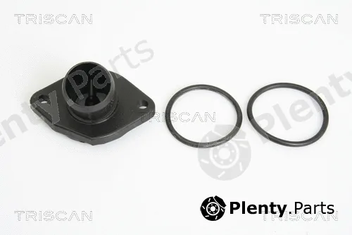 Triscan 862010187X — Coolant Flange