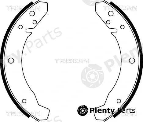 Triscan 810029104 — Brake Shoe Set