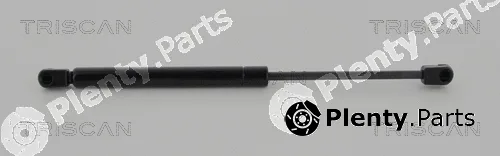 Triscan 871025258 — Gas Spring, boot/cargo area