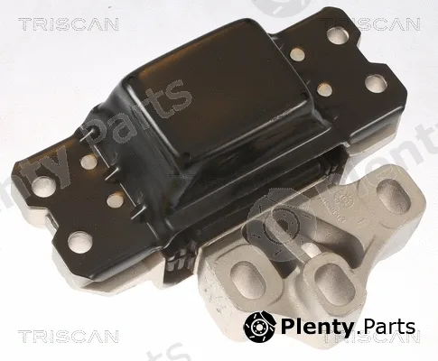 Triscan 850529159 — Mounting, engine