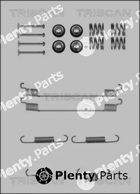 Triscan 8105232589 — Accessory Kit, brake shoes