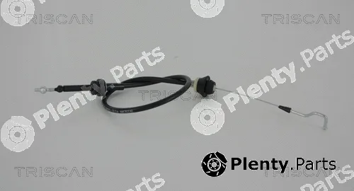 Triscan 814067305 — Accelerator Cable