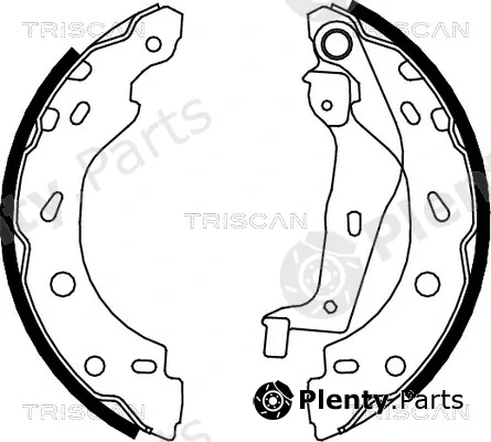 Triscan 810010005 — Brake Shoe Set