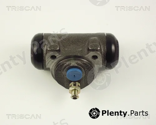Triscan 813025021 — Wheel Brake Cylinder