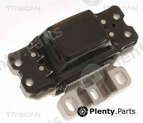 Triscan 850529189 — Mounting, engine