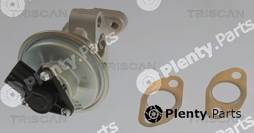 Triscan 881310054 — EGR Valve