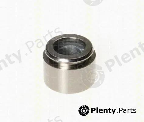 Triscan 8170234043 — Piston, brake caliper
