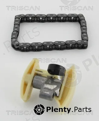 Triscan 865010005 — Timing Chain Kit