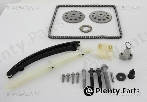 Triscan 865024005 — Timing Chain Kit