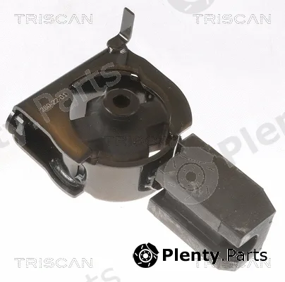 Triscan 850513102 — Mounting, engine
