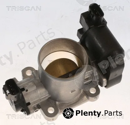 Triscan 882013010 — Throttle Body