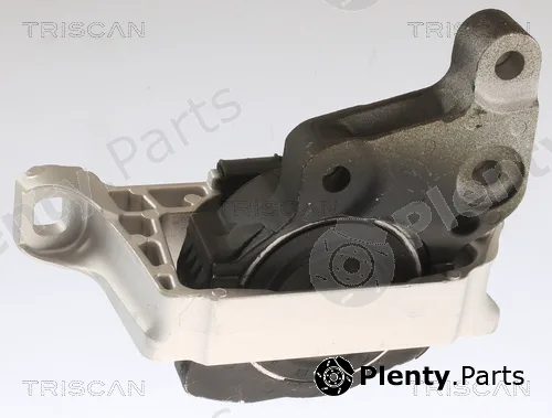 Triscan 850516113 — Mounting, engine